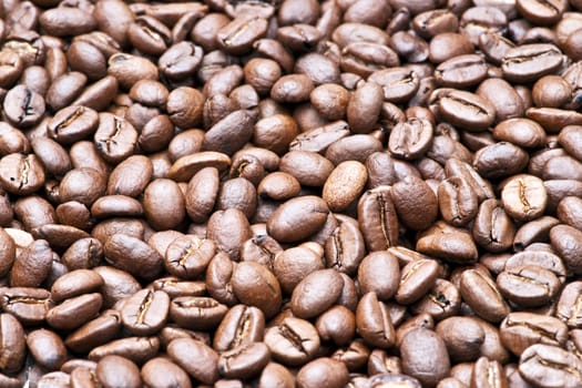 Coffee beans, close up photograph taken in studio