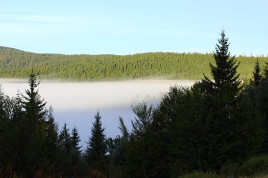 morning mist invading a mountain valley just after the sunrise