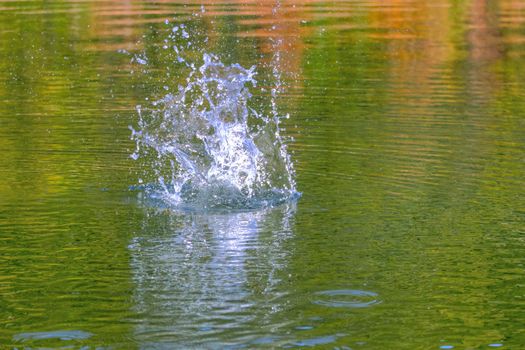 splash of water made by a stone in a mountain lake