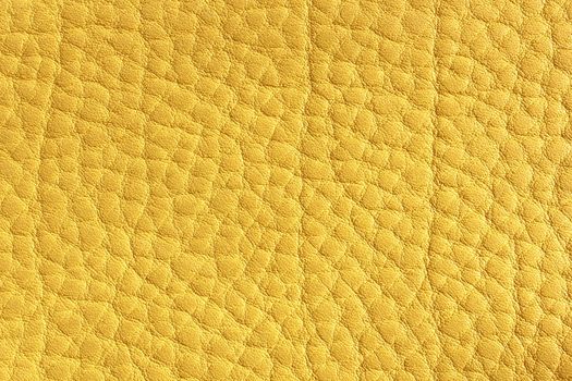 yellow leather detail, background texture