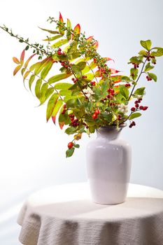 Still life with autumn Leaves and Berries 