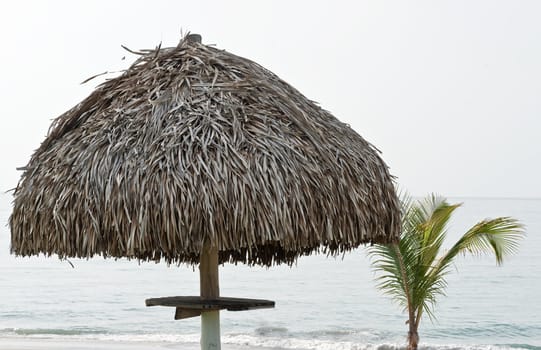 Palm leave parasol cover on a beach with an ocean horizon