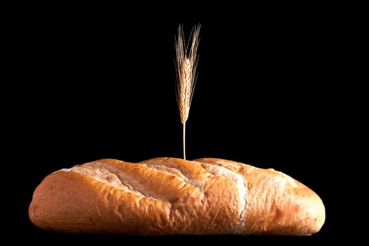 Image of a Loaf of Bread on black background