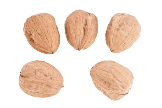 five Walnuts image on white background
