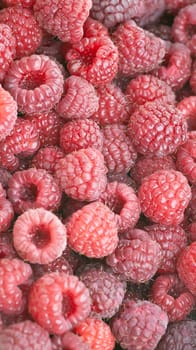 Macro of a stack of raspberries against white background 