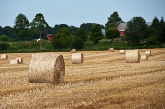 Straw bales on farmland in a cloudy summer day