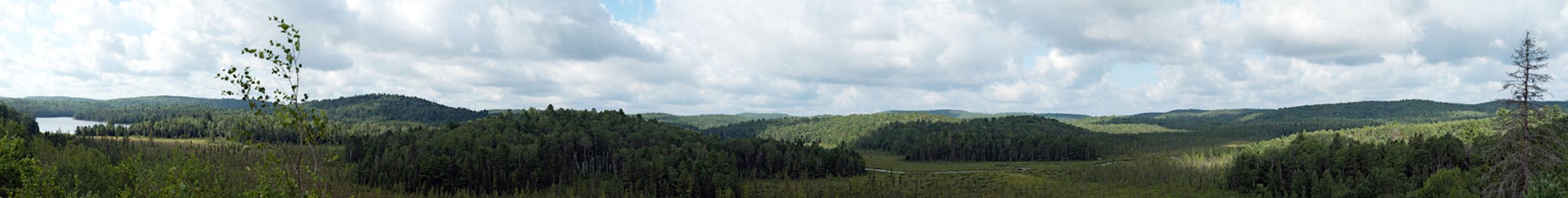 Lake, river, forest panorama landscape at Algonquin Park in Ontario Canada