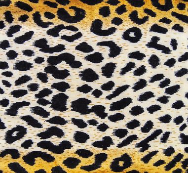 Leopard texture