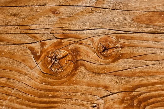 Star crack on wood plank