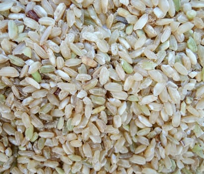 Integral rice texture