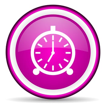 alarm clock violet glossy icon on white background