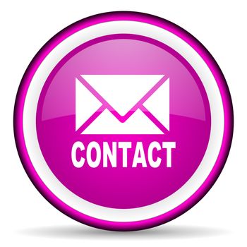 contact violet glossy icon on white background