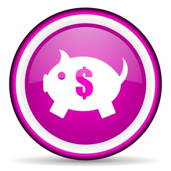 piggy bank violet glossy icon on white background