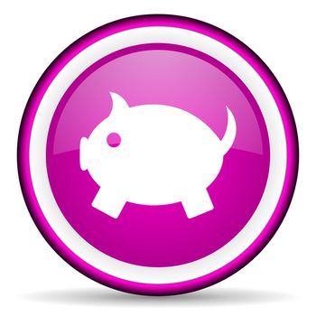 piggy bank violet glossy icon on white background