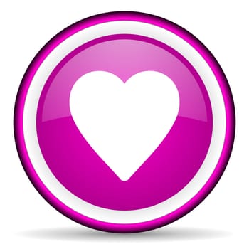 heart violet glossy icon on white background