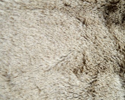 Close up of an animal colored fur texture