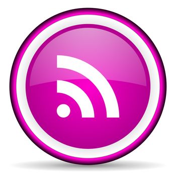 rss violet glossy icon on white background