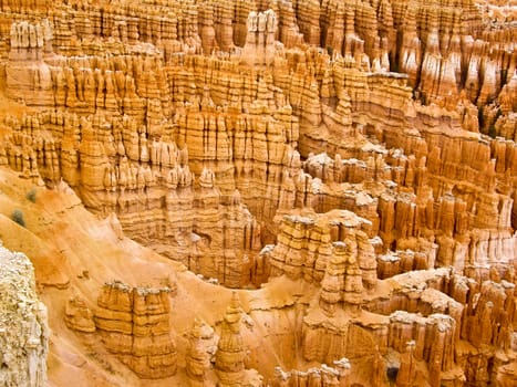 Bryce Canyon Hoodoos and Spires