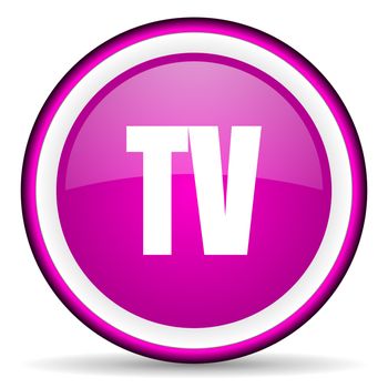 tv violet glossy icon on white background