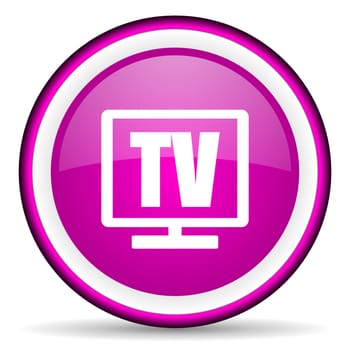 tv violet glossy icon on white background