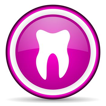 tooth violet glossy icon on white background