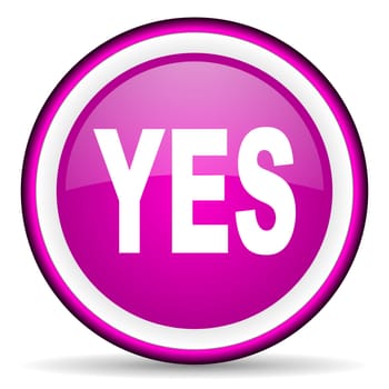 yes violet glossy icon on white background