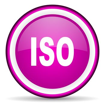 iso violet glossy icon on white background