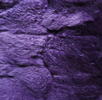 Purple fur texture