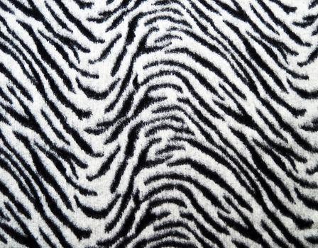 Zebra fabric texture