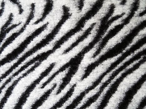 Zebra fur texture