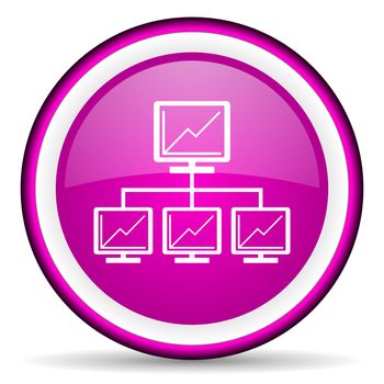 network violet glossy icon on white background