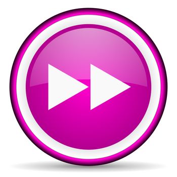 scroll violet glossy icon on white background