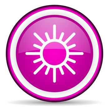 sun violet glossy icon on white background