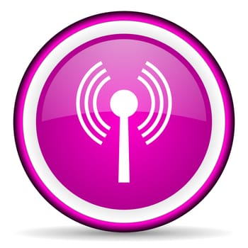 wifi violet glossy icon on white background