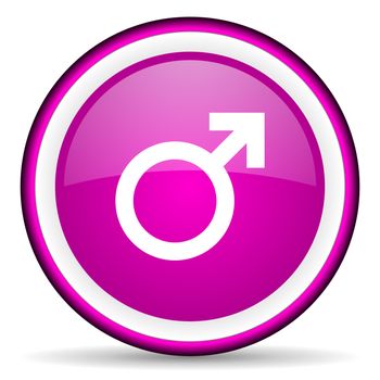 sex violet glossy icon on white background
