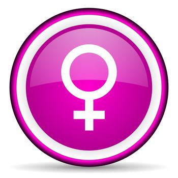 sex violet glossy icon on white background