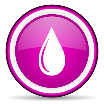 water drop violet glossy icon on white background