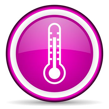 thermometer violet glossy icon on white background