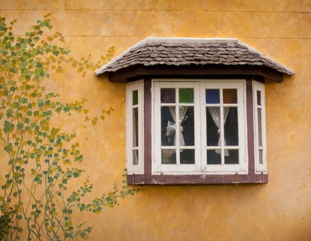 Windows on a wall covered with paint leaves