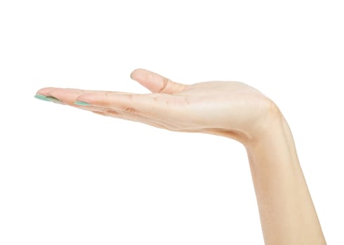 female woman hand holding isolated on white