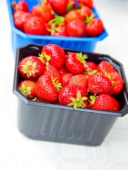 Freshly harvested strawberries at market in Norway