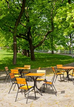 Tables and chairs under the blooming Chestnut tree at spring park