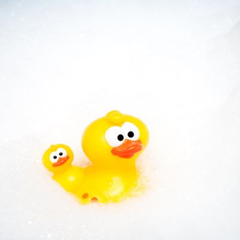 Yellow rubber duck floating in soapsuds