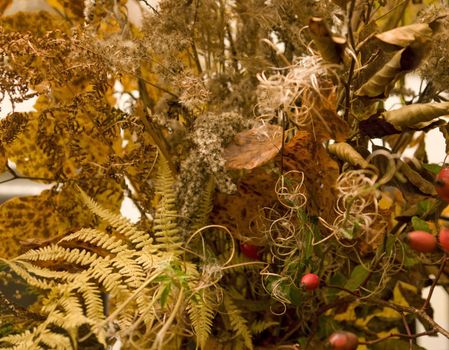 full frame background with various autumn leaves in warm toned ambiance