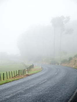 Country road turn on a foggy day