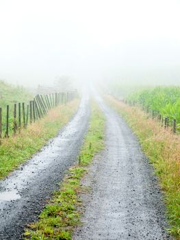Dirt road on a foggy day