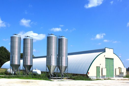 shed and grain elevators for raising chickens