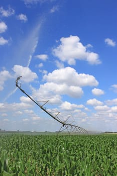 an irrigation system for agriculture in a grain field