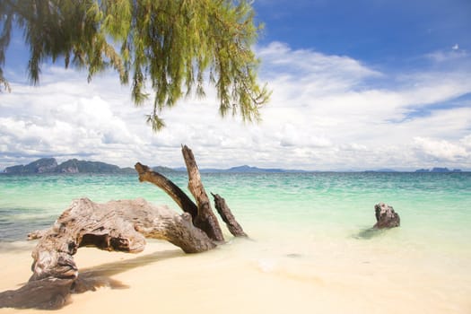 Beautiful tropical white sand beach at Trang andaman sea Thailand