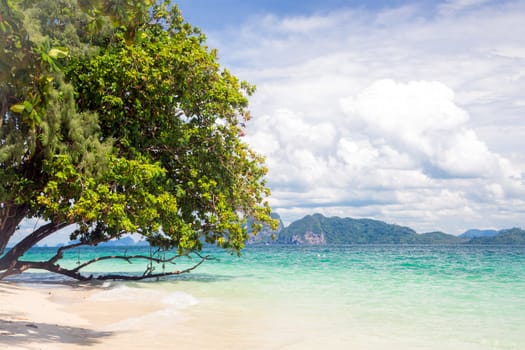 Beautiful tropical white sand beach at Trang andaman sea Thailand